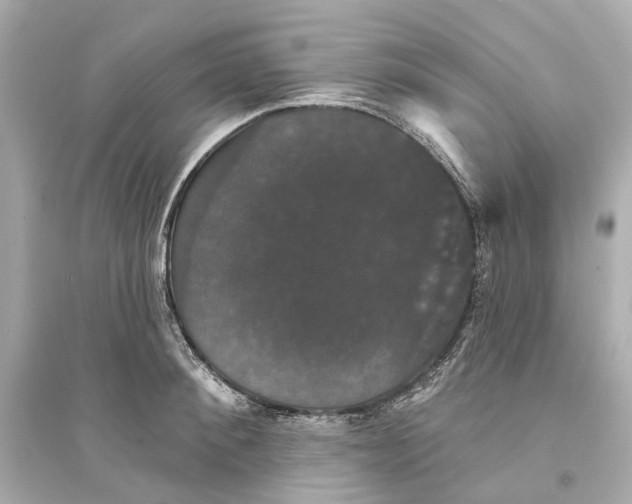 X0000093740900200711131059