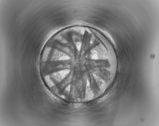 X0000093740903200711131059