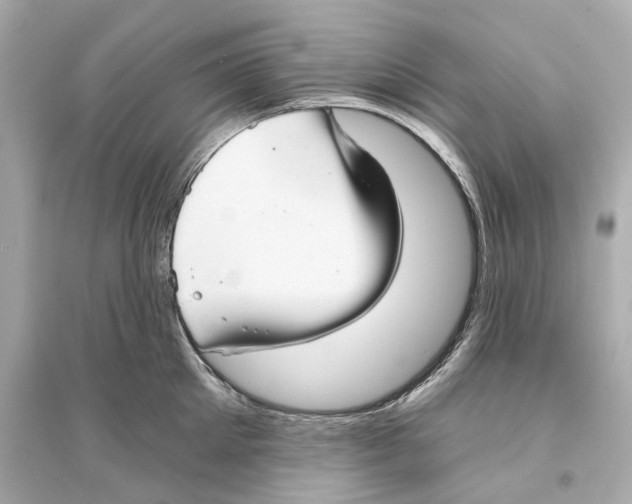 X0000093740905200711131059