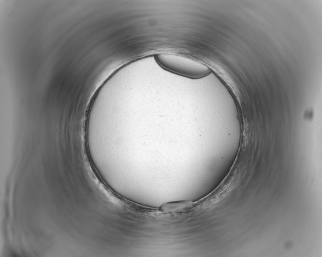 X0000093740906200711131059