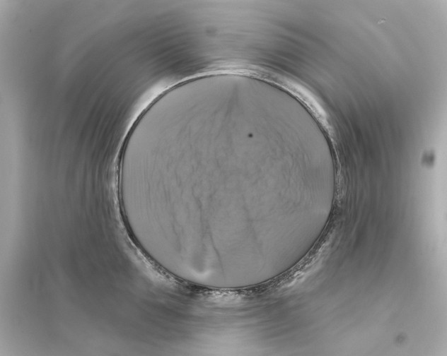 X0000093740907200711131059