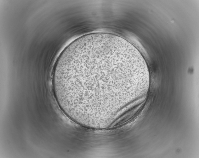 X0000093740908200711131059