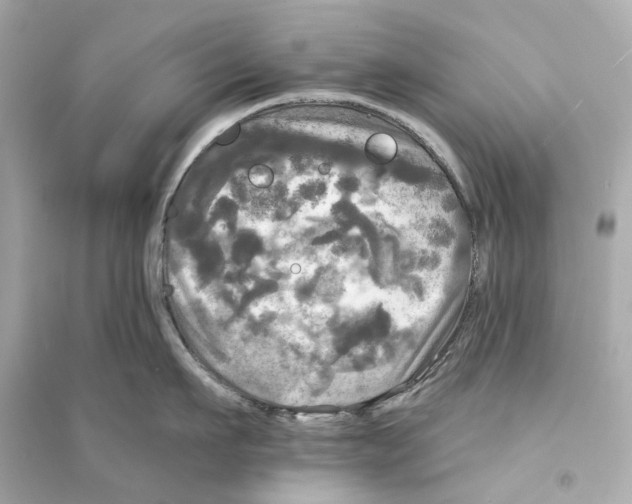 X0000093740911200711131059