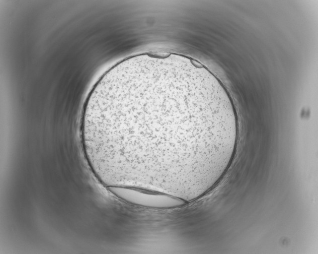 X0000093740912200711131059