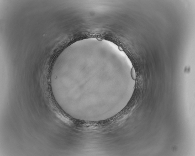 X0000093740913200711131058