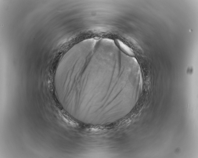X0000093740917200711131058