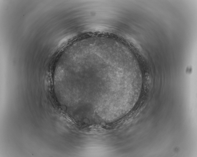 X0000093740918200711131058