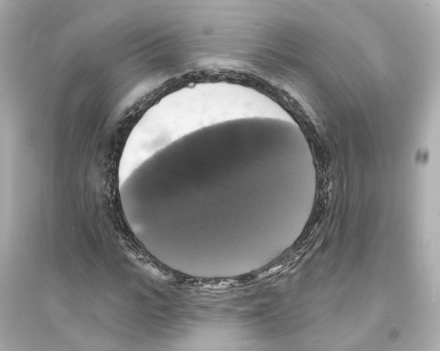 X0000093740919200711131058