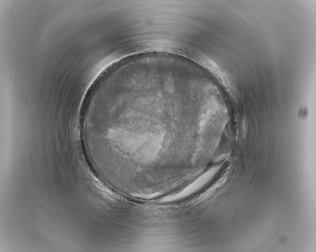 X0000093740924200711131058