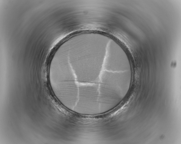 X0000093740925200711131058