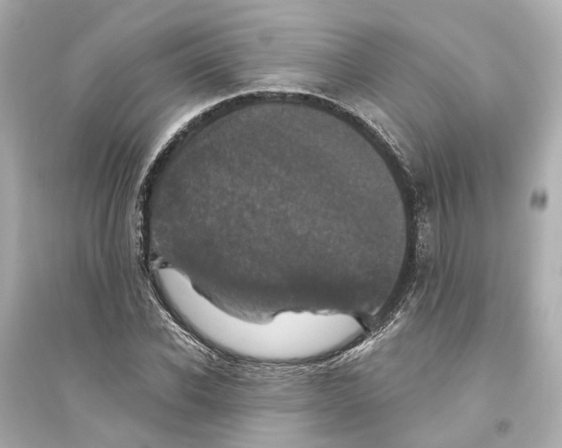 X0000093740926200711131058