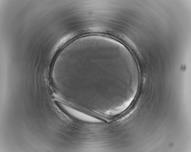 X0000093740930200711131058