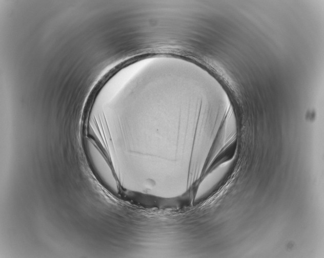 X0000093740932200711131058