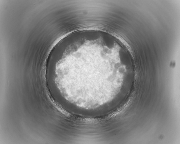 X0000093740933200711131058