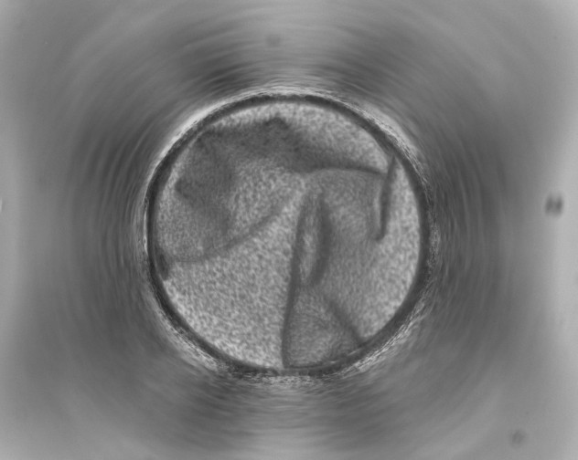 X0000093740934200711131058