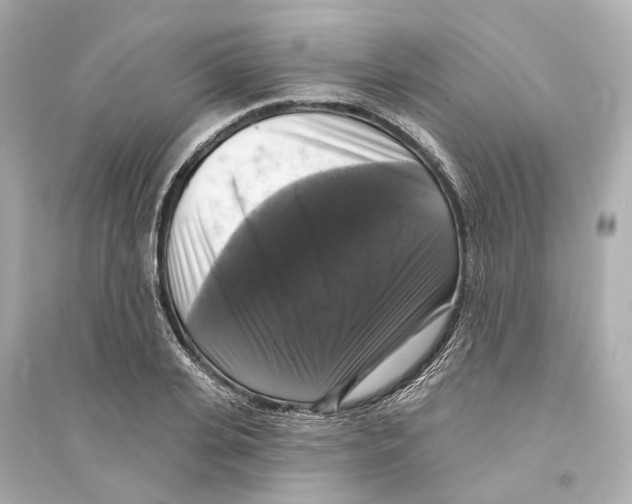 X0000093740935200711131058