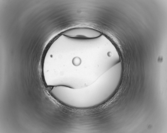 X0000093740936200711131058