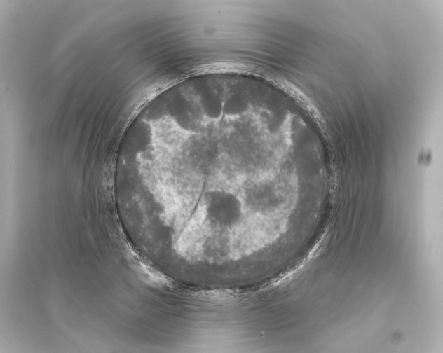 X0000093740937200711131058