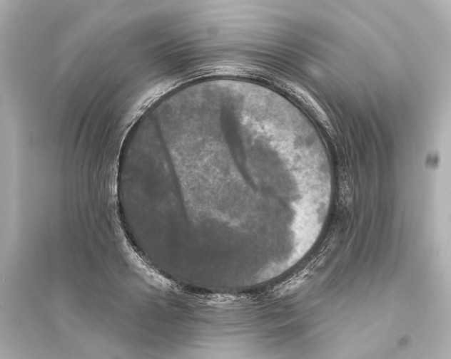 X0000093740938200711131058