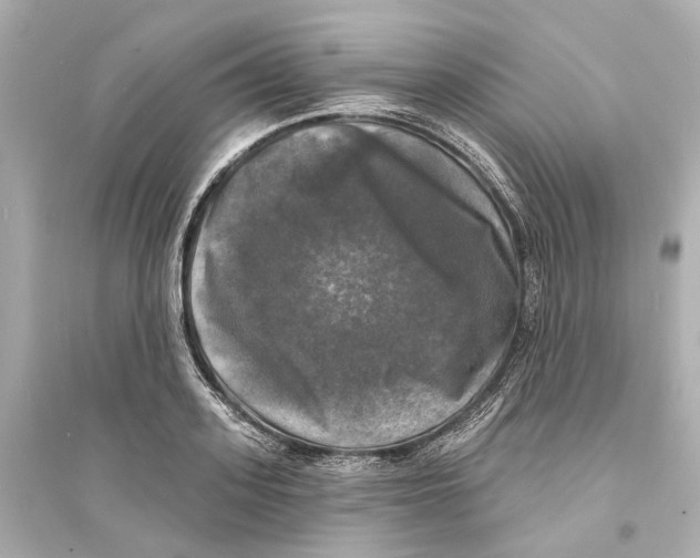 X0000093740939200711131058