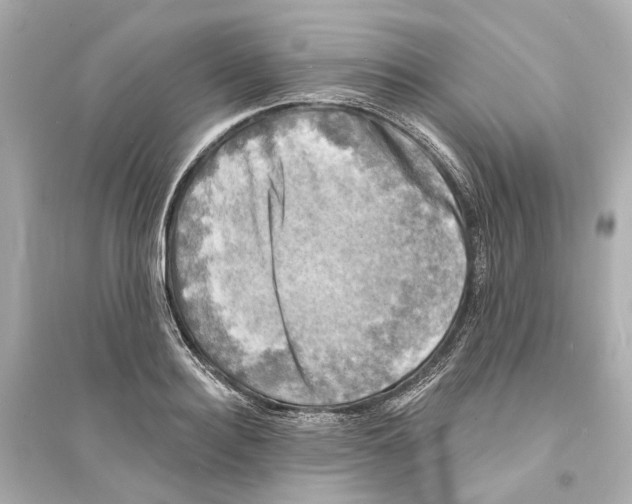 X0000093740940200711131058