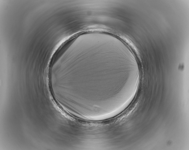 X0000093740941200711131058