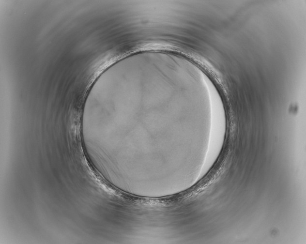 X0000093740945200711131058