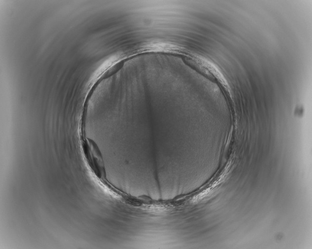 X0000093740946200711131058