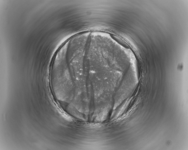 X0000093740948200711131058