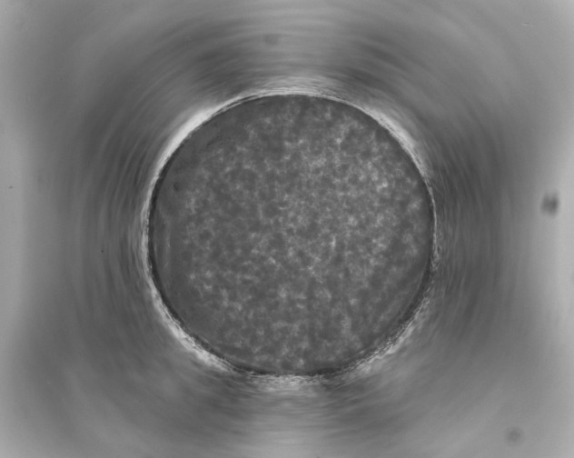 X0000093740949200711131058