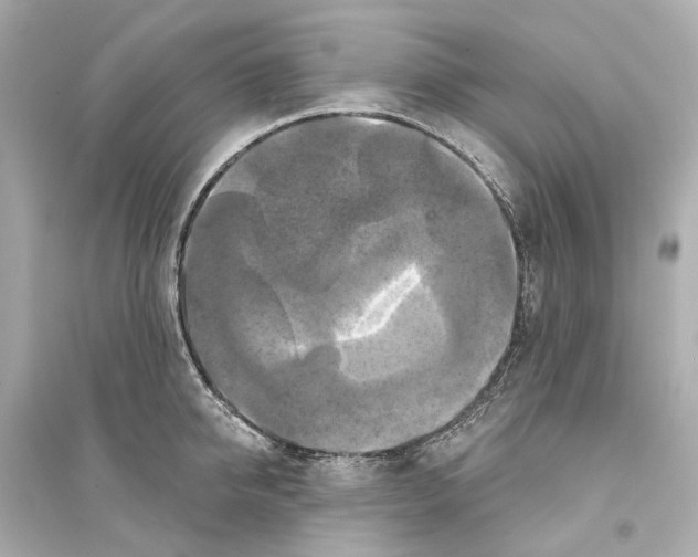 X0000093740950200711131058