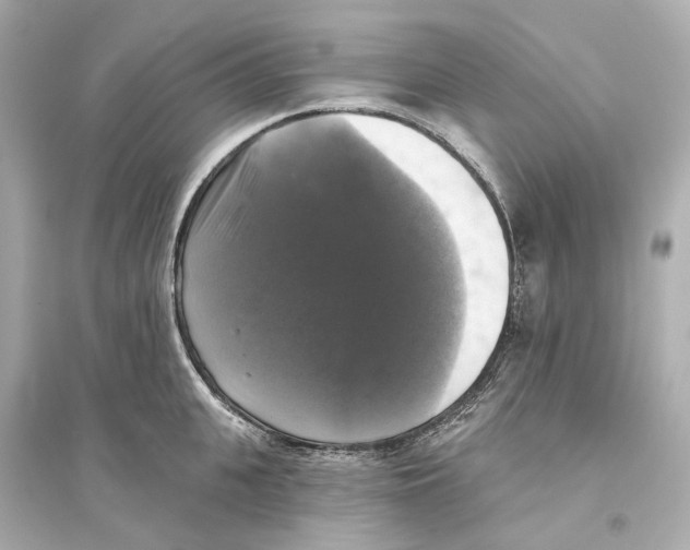 X0000093740951200711131058