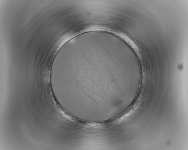 X0000093740953200711131059