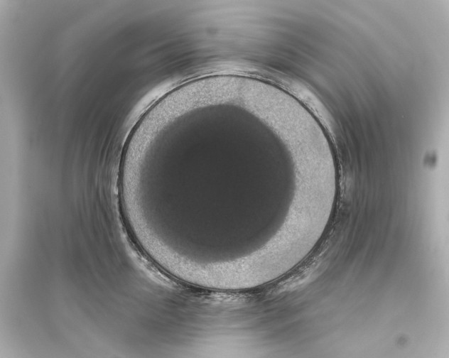 X0000093740954200711131059