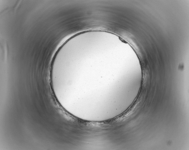 X0000093740956200711131059