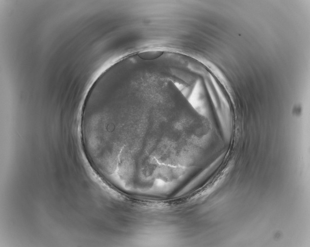 X0000093740957200711131059