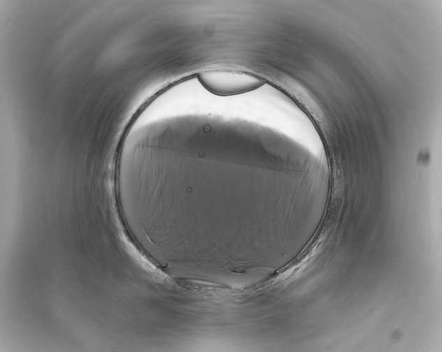 X0000093740958200711131059