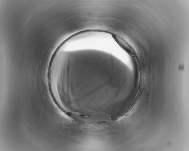 X0000093740959200711131059