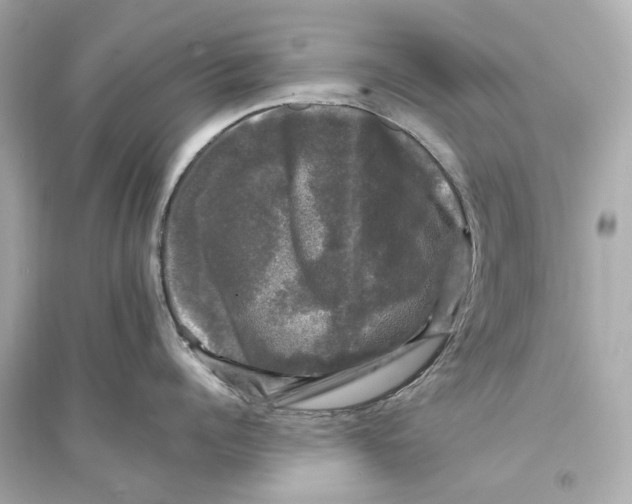 X0000093740960200711131059