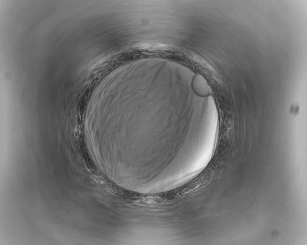 X0000093740966200711131058