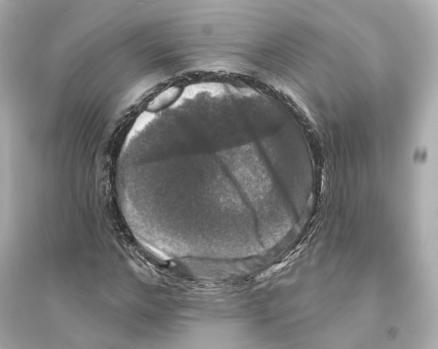 X0000093740968200711131058