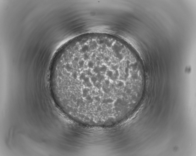 X0000093740971200711131058