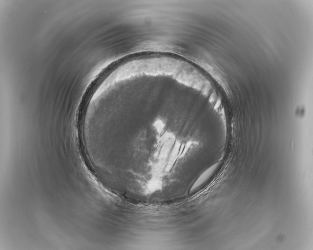 X0000093740972200711131058