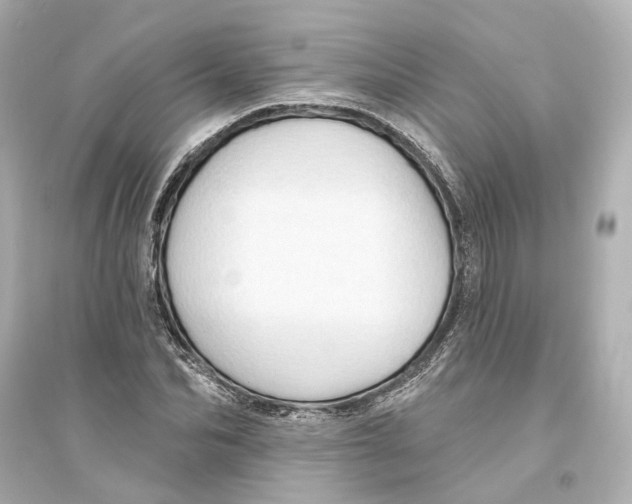 X0000093740974200711131058