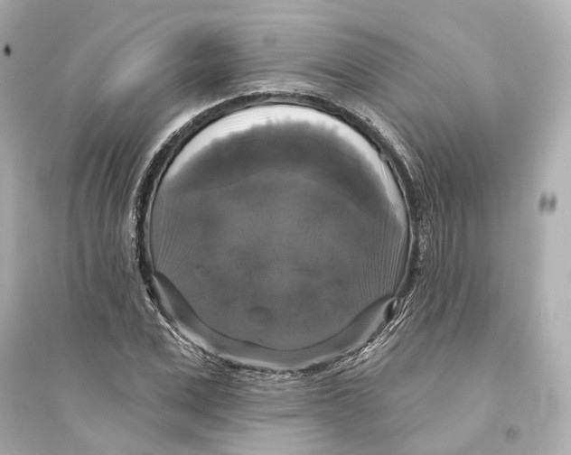X0000093740975200711131058
