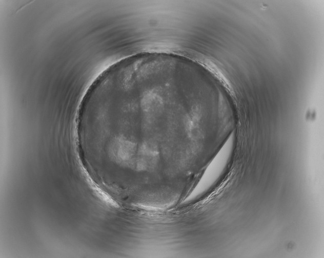 X0000093740976200711131058