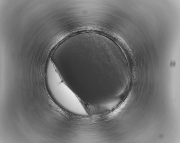 X0000093740977200711131058