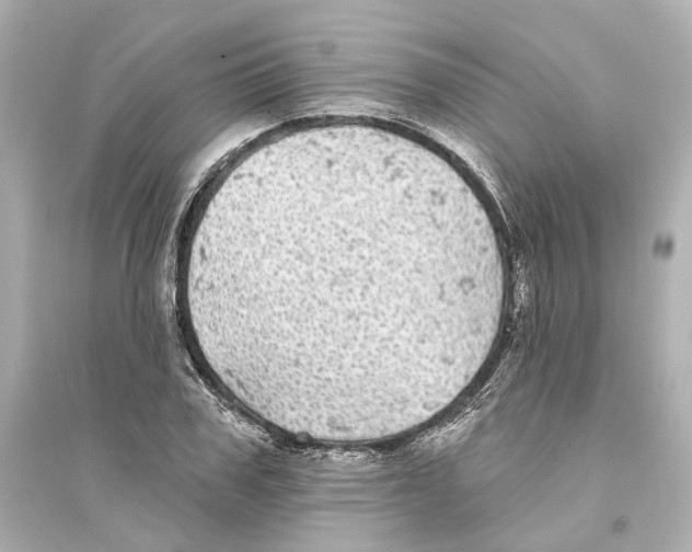 X0000093740979200711131058