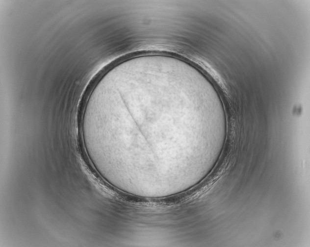 X0000093740980200711131058