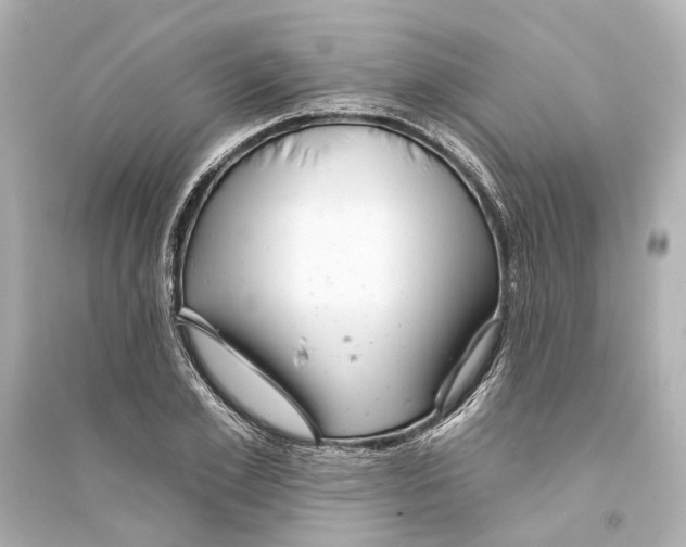 X0000093740981200711131058